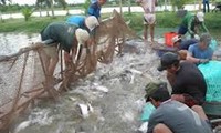 Conecta Asociación vietnamita de Pangasius con la sustentabilidad