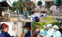 Localidades vietnamitas se preparan ante posibles contagios de H7N9