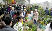 Feria rural en seno de ciudad 