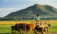 Cambios y mejoras en las tierras étnicas de Binh Phuoc