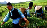 Vietnam entra en el top de los países con mejores logros en reducción de pobreza 