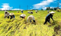 Se inaugurará el Congreso de la Asociación Campesina