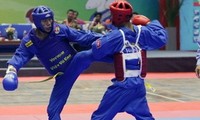 Campeonato Vovinam 2013 promueve arte marcial vietnamita