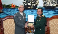 Cooperación efectiva entre Vietnam y Japón en materia de defensa