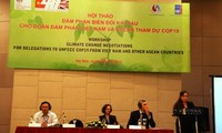 Mejor capacidad negociadora sobre cambio climático entre Vietnam y ASEAN