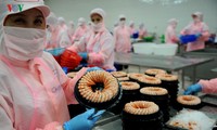 Exportaciones vietnamitas suman 13 mil 700 millones de dólares