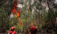 Asciende a 62 las muertes por severo incendio forestal en Portugal