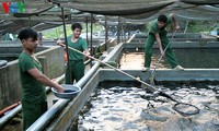 Inauguran la exposición internacional de acuicultura Vietnam 2017