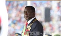 Nuevo presidente de Zimbabue disuelve su gabinete