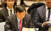 Vietnam se pronuncia en la ONU por la paz y los derechos humanos 