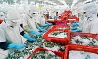 Rama pesquera de Vietnam restaura la producción después del brote de Covid 19