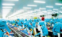 Gobierno vietnamita planea dos escenarios de crecimiento económico para 2020