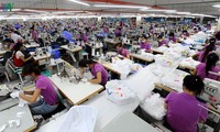 Vietnam y Países Bajos celebrarán una conferencia online sobre productos textiles en septiembre