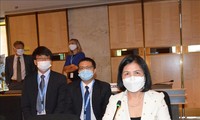 Vietnam comprometido a defender y promover los derechos humanos pese a los impactos del covid-19