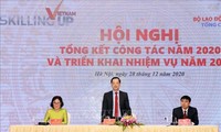 Vietnam por mejorar la calidad de la formación profesional