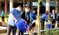 Celebran en Vietnam animadas actividades en respuesta al Mes de la Juventud y a la campaña de plantación de árboles