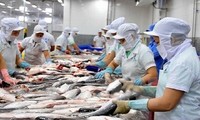 Estados Unidos anuncia resultados de revisión antidumping de pescados sin escamas de Vietnam