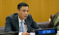 Vietnam seguirá contribuyendo activamente a las actividades del PNUD