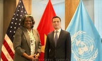 Vietnam y Estados Unidos cooperan en temas globales e implementan iniciativas conjuntas en ONU