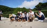 Campaña “Save The Ocean” recauda fondos para la conservación del hábitat de las tortugas marinas