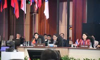 Vietnam hace recomendaciones importantes sobre la cooperación parlamentaria en el APPF 31