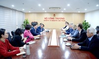  Vietnam busca cooperación con el grupo ruso Novatek en proyectos de energía