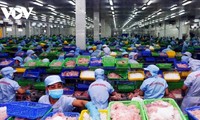 Estados Unidos es el mayor mercado de exportación de Vietnam en lo que va de año 