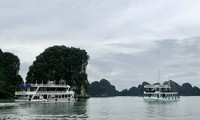 Ciudad de Ha Long reanuda actividad turística tras paso de Yagi