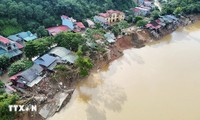 Canadá ofrece asistencia humanitaria a Vietnam para superar consecuencias de desastre natural