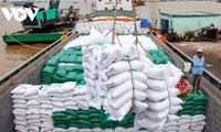 Vietnam ocupa el tercer lugar en el mundo en exportación de arroz