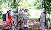 Las “rosas de acero” del equipo femenino de desminado en Quang Tri