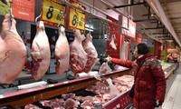 China impone aranceles temporales a la carne de cerdo de la UE