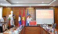 Comunidades vietnamitas en ultramar se solidarizan con los afectados por los tifones Bualoi y Matmo