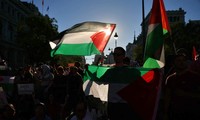Países árabes propugnan fundación de un Estado palestino