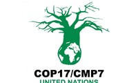 เวียดนามเข้าร่วมหารือกับประเทศสมาชิก UNFCCC ในกรอบCOP17