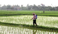 การสร้างสรรค์ชนบทใหม่ในตำบล ถุ่ยวัน จังหวัดท้ายบิ่ง