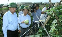 ประธานแนวร่วมปิตุภูมิเวียดนาม เหงียนเถี่ยนเญิน เยือนจังหวัดห่าติ๋ง