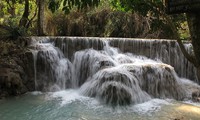 น้ำตกตาดกวางซี –สถานที่ท่องเที่ยวที่ไม่ควรพาดเมื่อมาเยือนหลวงพระบาง  ประเทศลาว