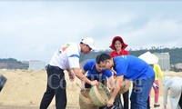 จังหวัดกว๋างนิงห์เปิดการรณรงค์ทำความสะอาดชายหาดอ่าวฮาลอง