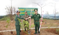 โครงการปลูกต้นไม้มิตรภาพ ณ หลักพรมแดนในสามแยกชายแดนเวียดนาม ลาว กัมพูชา