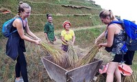 เกษตรกรจังหวัดห่ายางพัฒนาการท่องเที่ยวโฮมสเตย์