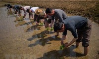 ผู้รายงานพิเศษของสหประชาชาติเร่งรัดให้พิจารณาคำสั่งคว่ำบาตรสาธารณรัฐประชาธิปไตยประชาชนเกาหลีอีกครั้ง