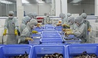 Vietnam, WTO hold seminar on trade disputes