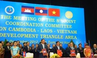 Boosting cooperation in Development Triangle Area 