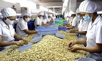 Vietnam-South Africa trade grows