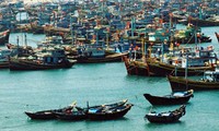 Cooperation helps Vietnam adapt to climate change