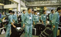 11,000 Vietnamese workers to work in RoK