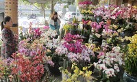 Busy Tet flower market in Lao Cai City