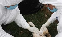 Urgent measures against H7N9 influenza