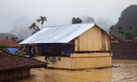 Danish architect exhibits Vietnamese floating houses 